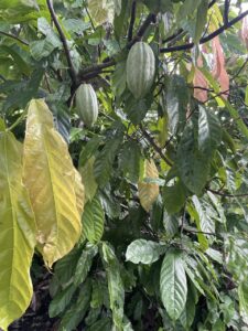 whatsapp image 2025 10 07 at 10.33.12 beac2f78