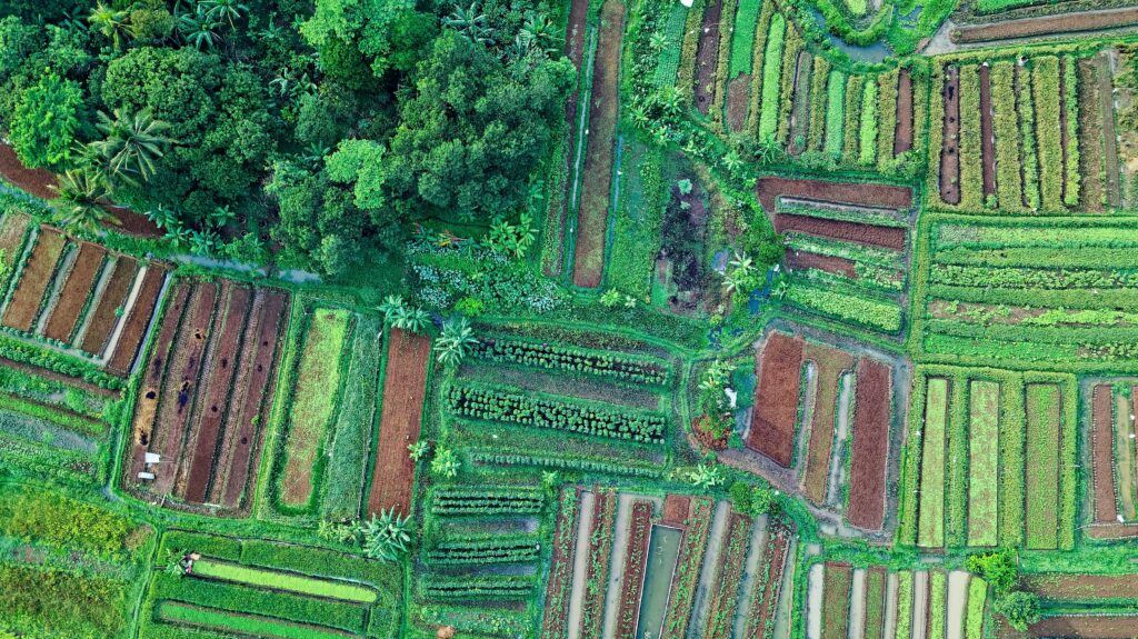 pexels photo 1573885 1573885 Aerial view of lush, diverse crops and greenery in Cisauk, Indonesia.